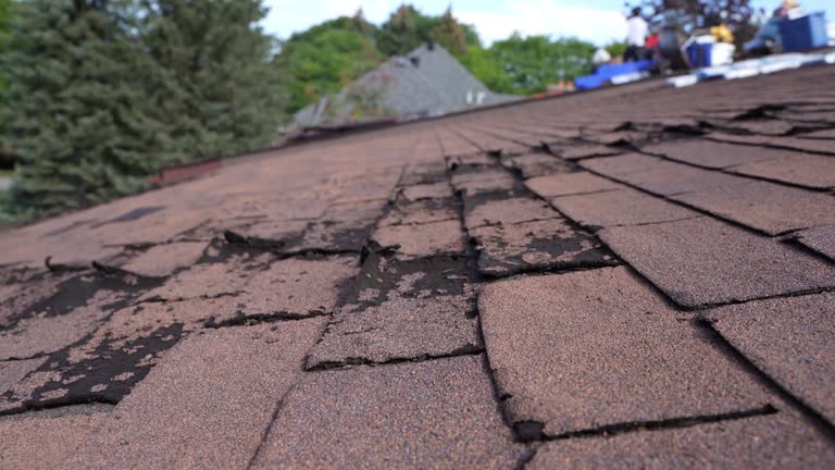 Best Roof Installation  in Pittston, PA